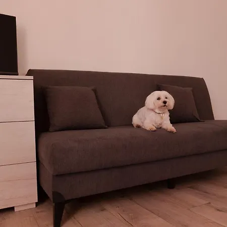 Lucy's Roof Apartment *